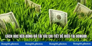 Cách Đọc Kèo Bóng Đá Tài Xỉu Chi Tiết Dễ Hiểu Tại Bong88