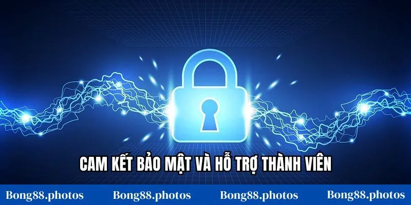 Cam kết bảo mật và hỗ trợ thành viên