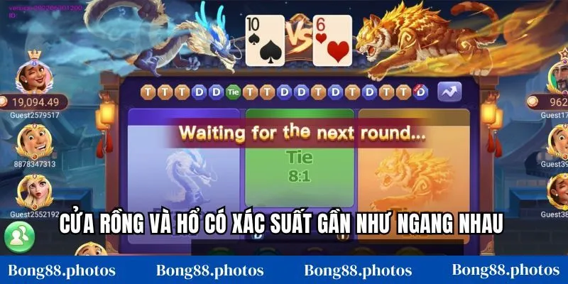 Cửa Rồng và Hổ có xác suất gần như ngang nhau