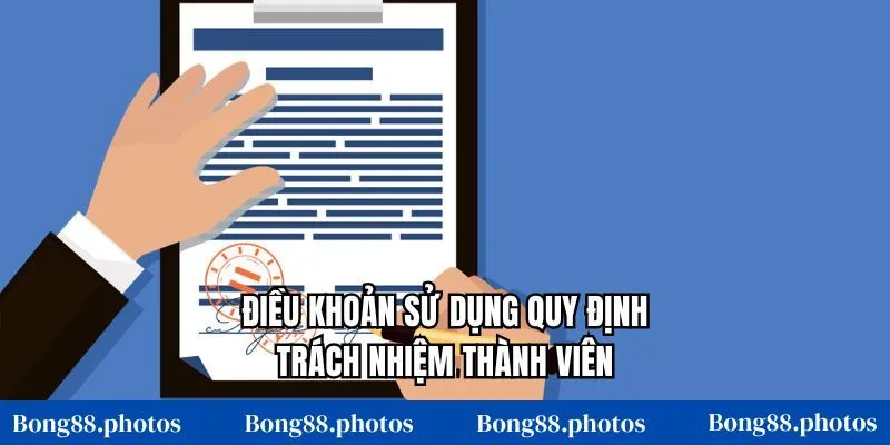Điều khoản sử dụng quy định trách nhiệm thành viên