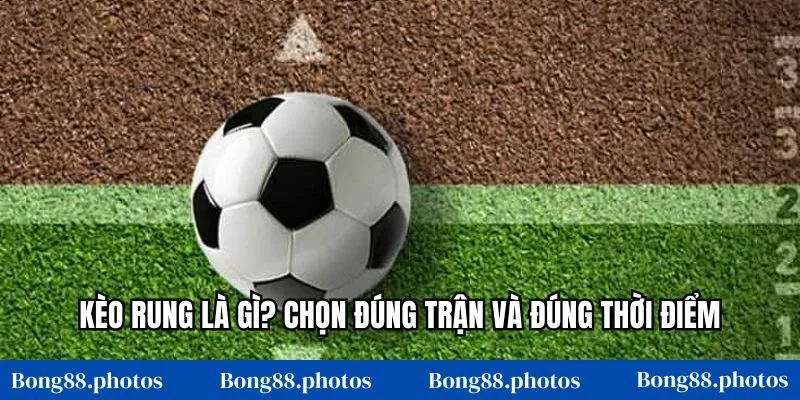Kèo rung là gì? Chọn đúng trận và đúng thời điểm