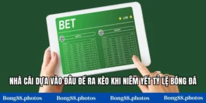 Nhà Cái Dựa Vào Đâu Để Ra Kèo Khi Niêm Yết Tỷ Lệ Bóng Đá