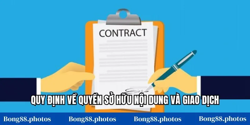 Quy định về quyền sở hữu nội dung và giao dịch