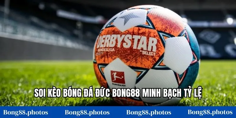 Soi kèo bóng đá Đức Bong88 minh bạch tỷ lệ
