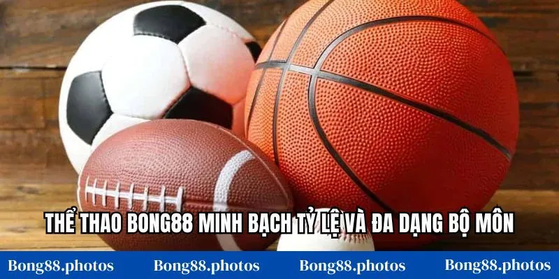 Thể thao Bong88 minh bạch tỷ lệ và đa dạng bộ môn